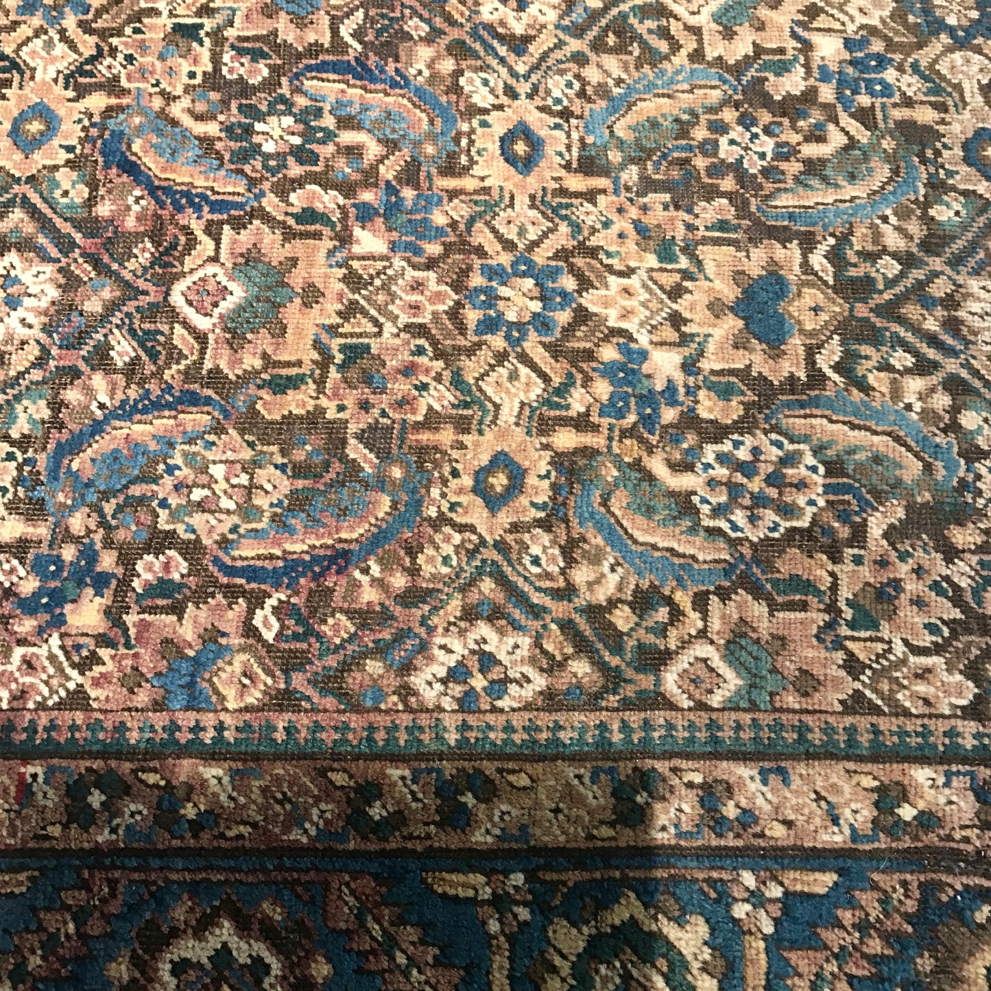 Area Rug No 6932 by Robyn Cosgrove - 5000 x 2840